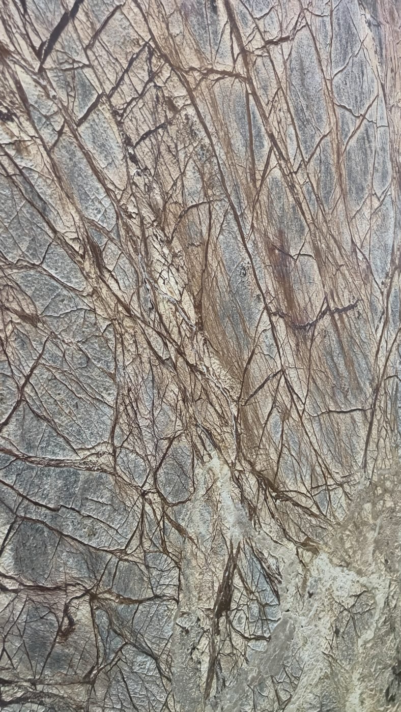 Close-up stone texture