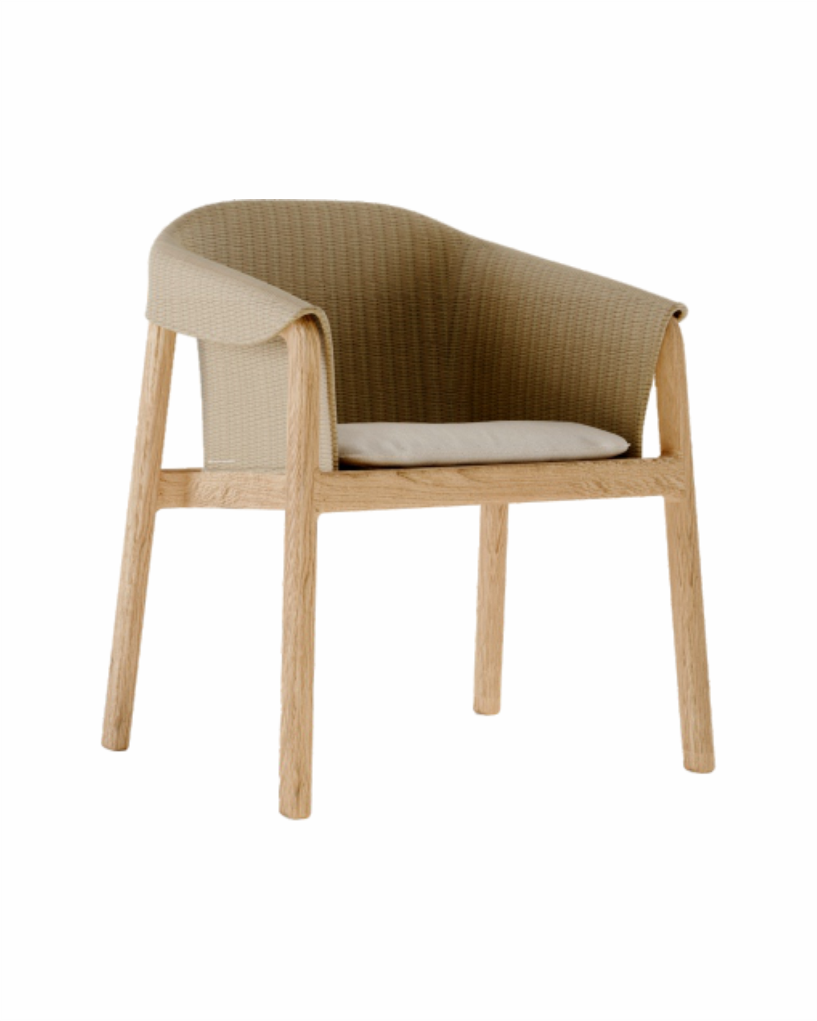 SAMPIR DINING CHAIR