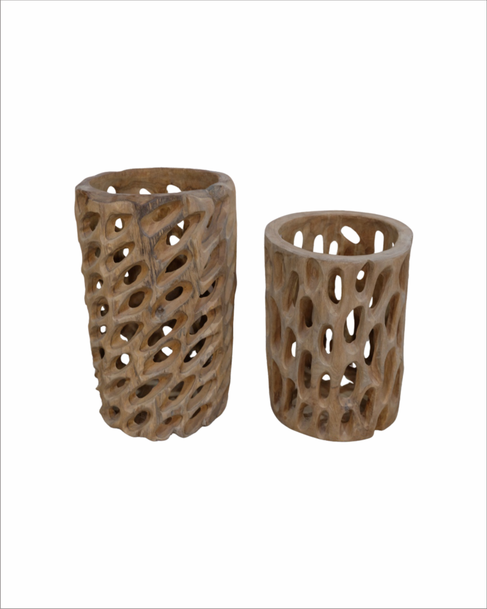 VOLUTE & VASAL